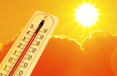 caldo
