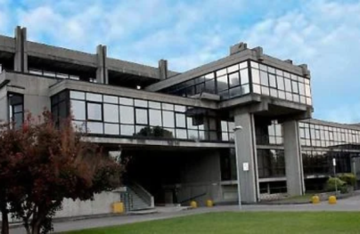 tribunale