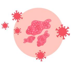 Vaccinazione Herpes Zoster VACCINAZIONE HERPES ZOSTER