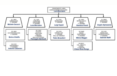 cardiocerebrovascolare